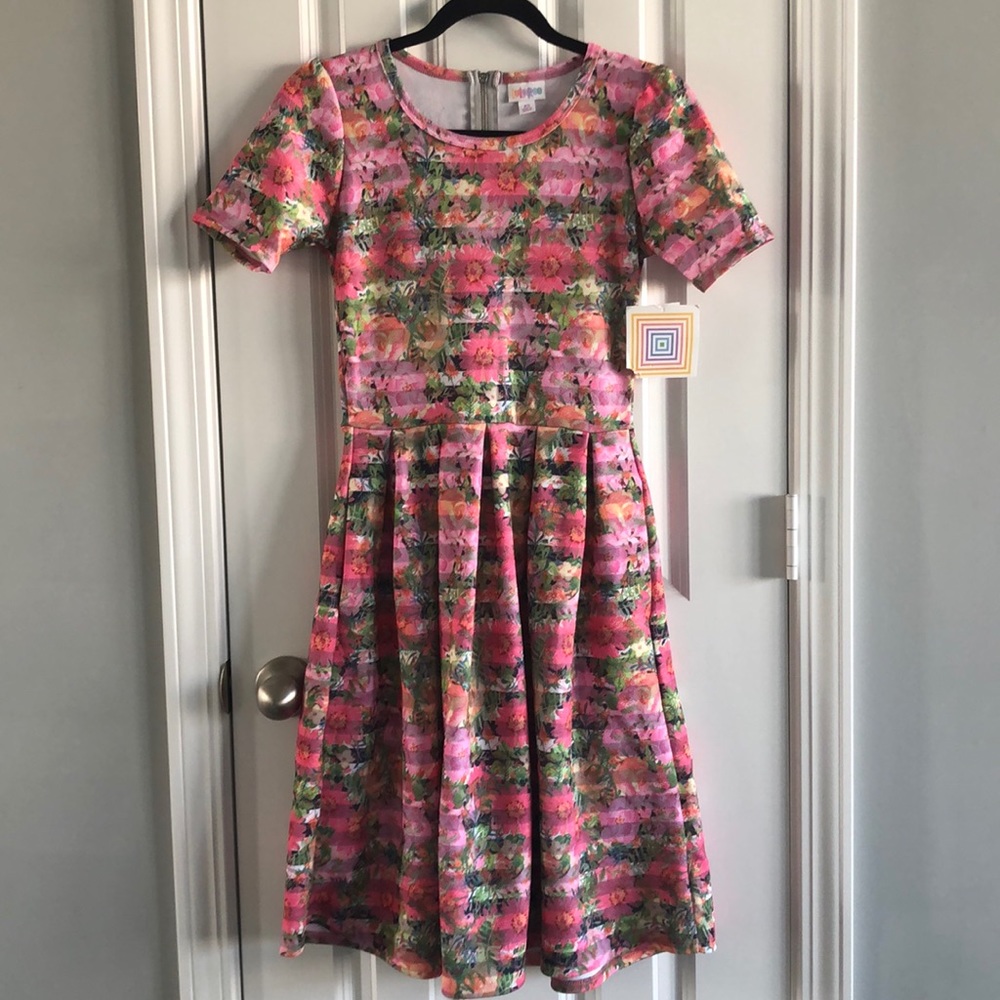 Lularoe floral Amelia dress